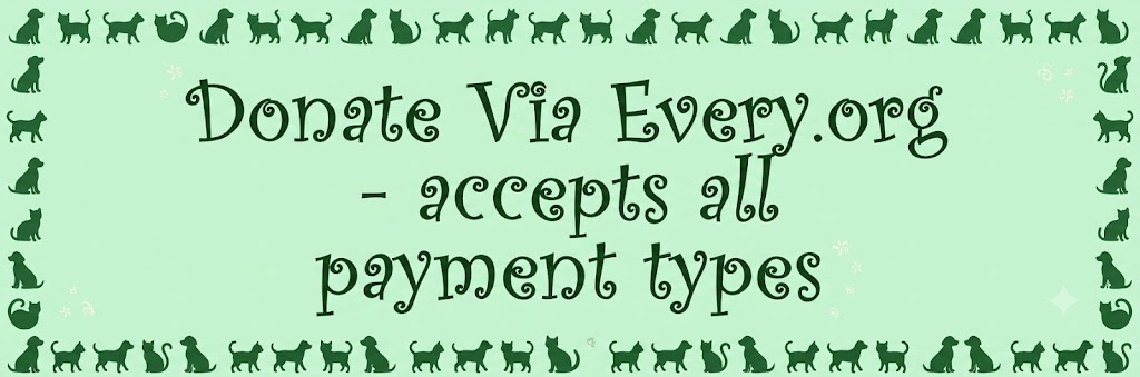 Every.org accepts all payment types