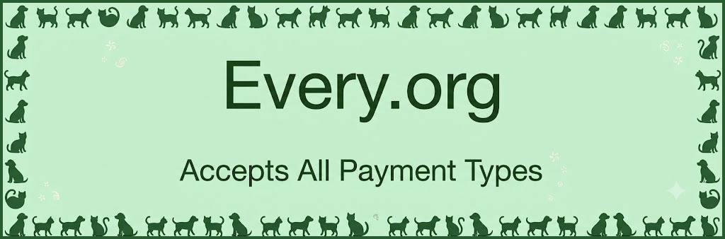 Every.org accepts all payment types